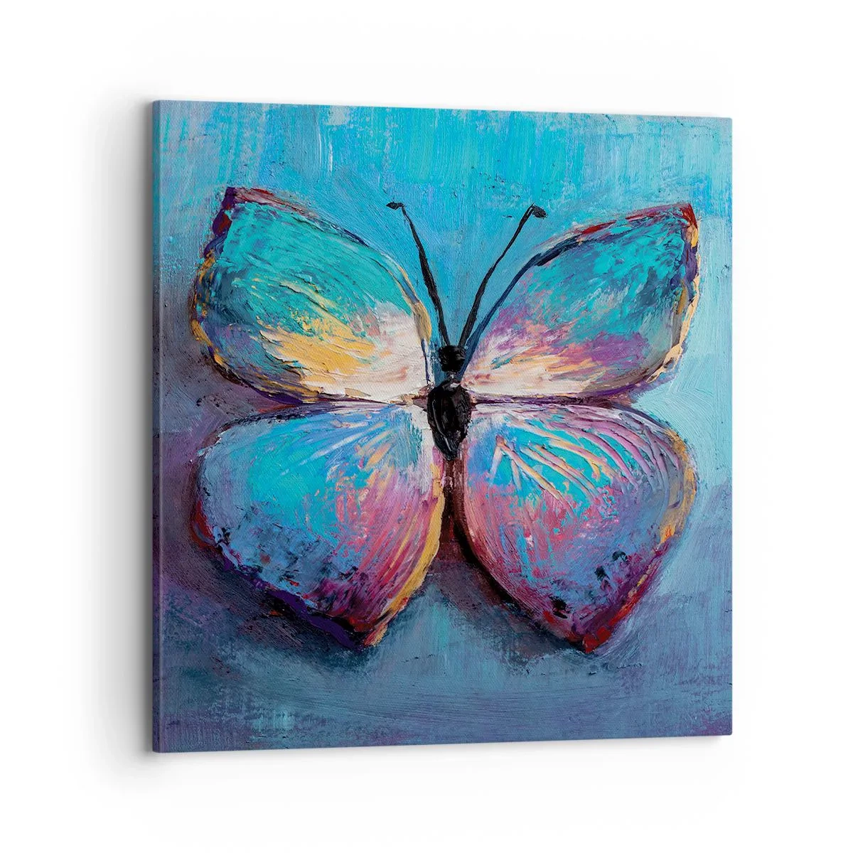 Obraz na plátne - V celej svojej kráse - 70x70 cm