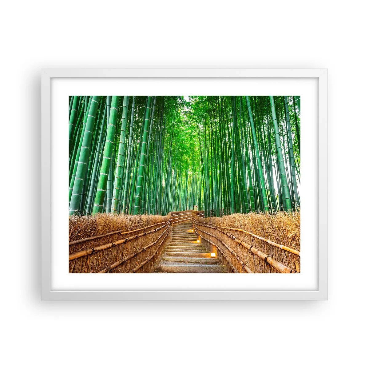 Plagát v bielom ráme - Esencia ázijskej prírody - 50x40 cm