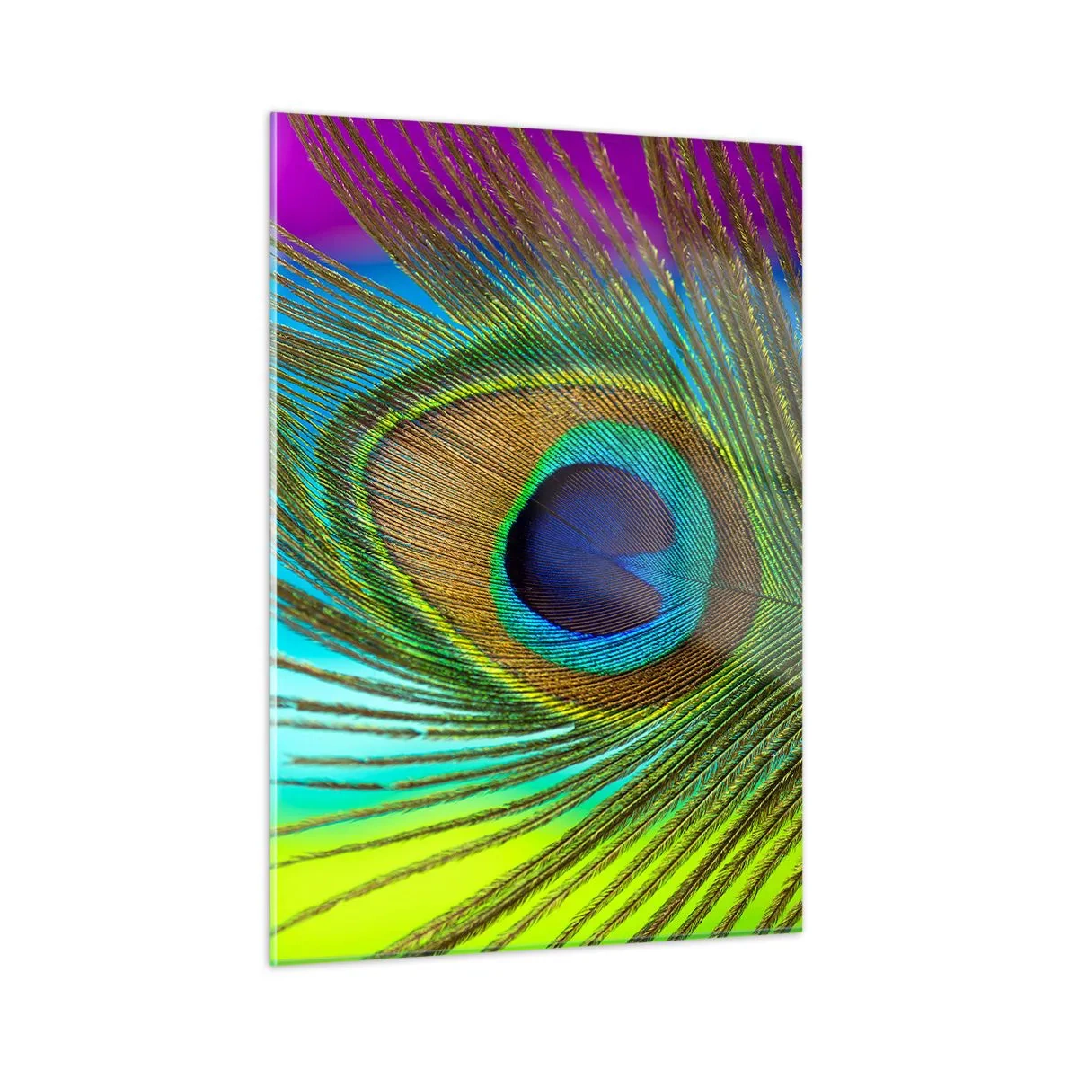 Obraz na skle - Tvárou v tvár - 50x70 cm