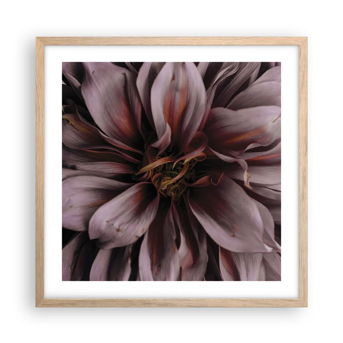 Plagát v ráme zo svetlého duba - Kvetinové srdce - 50x50 cm