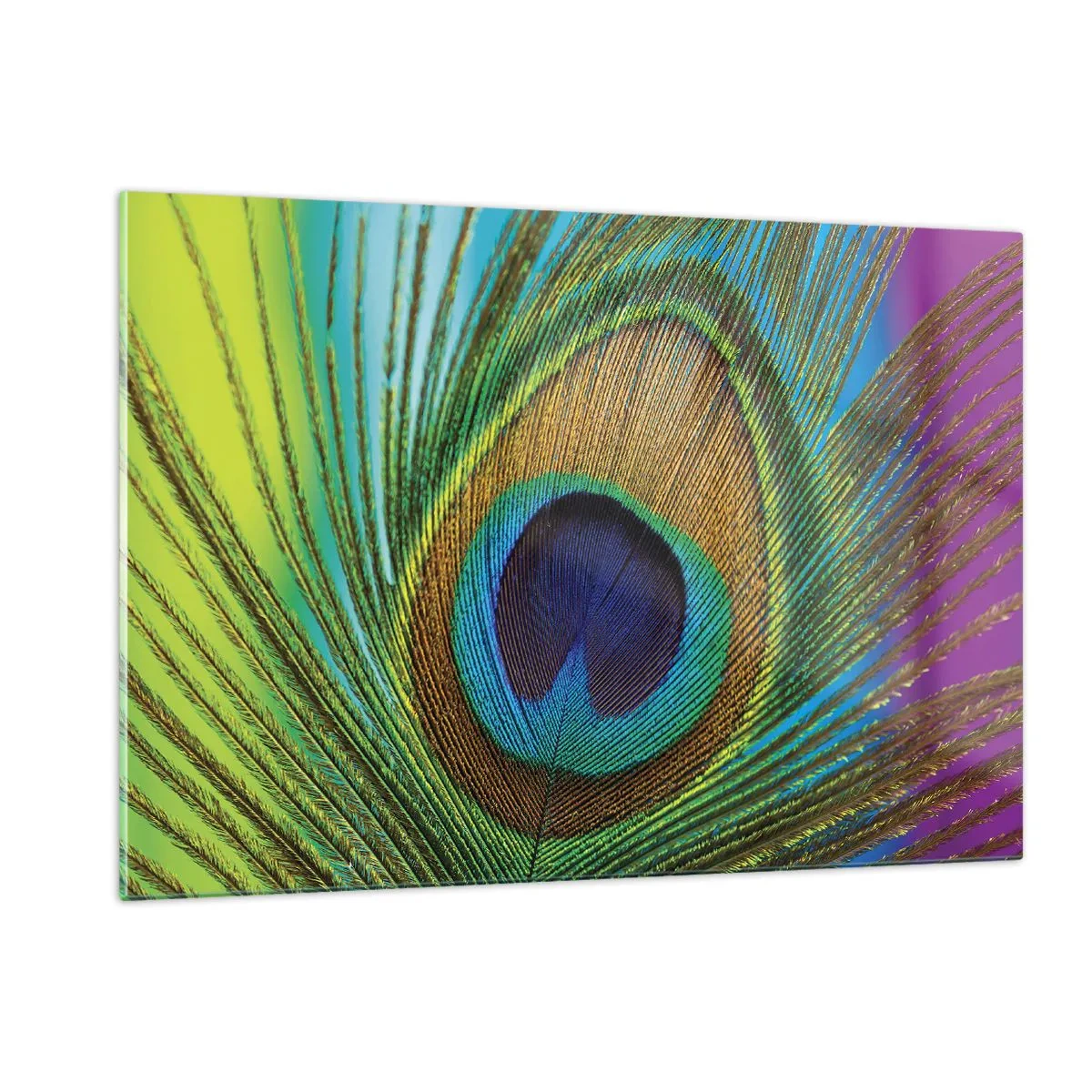 Obraz na skle - Tvárou v tvár - 120x80 cm