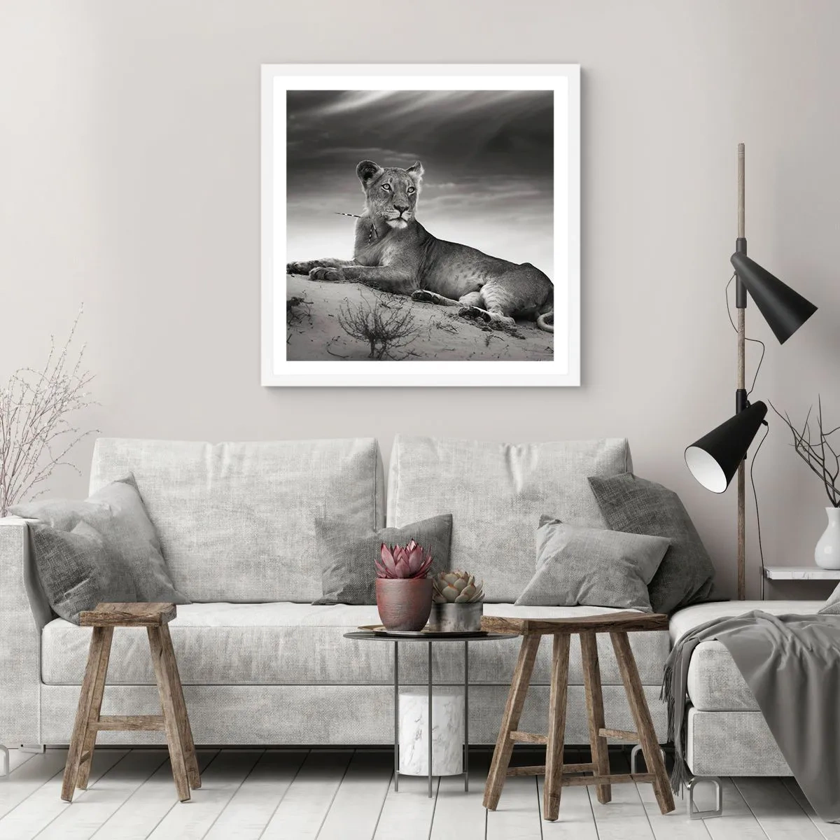 Plagát v bielom ráme - Odpočinok kráľovnej púšte - 50x50 cm