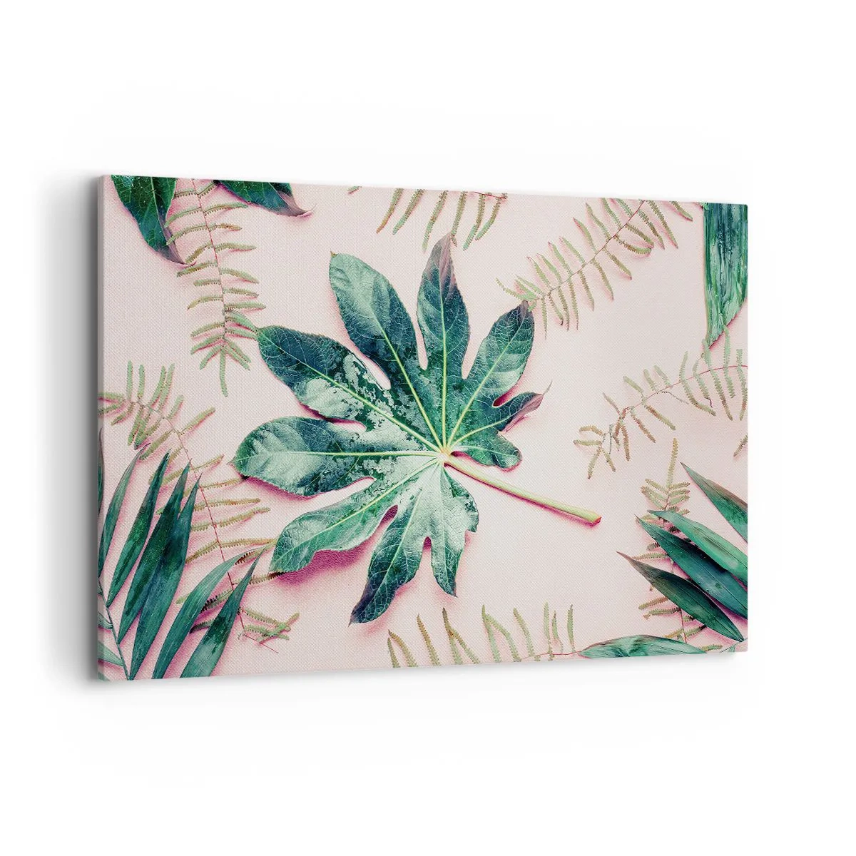 Obraz na plátne - Štúdia zelenej na ružovom pozadí - 120x80 cm