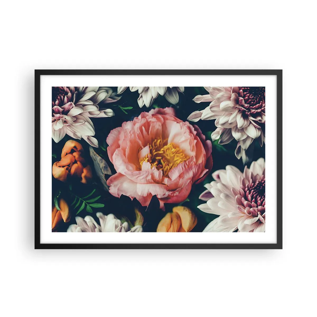 Plagát v čiernom ráme - S barokovým prepychom - 70x50 cm