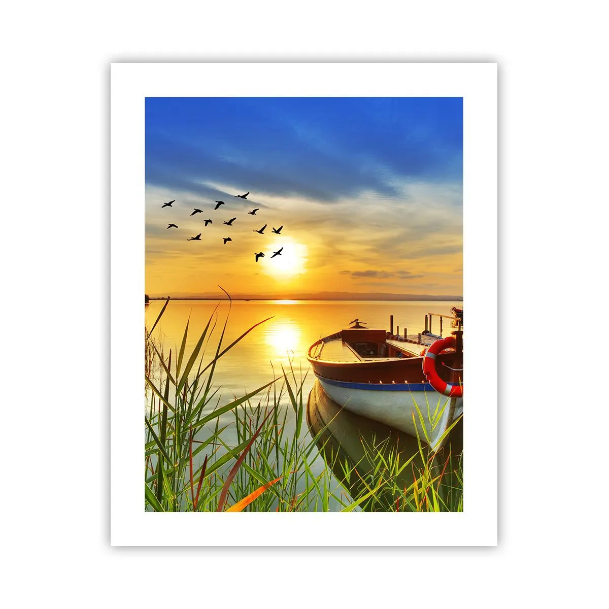 Plagát - Kormorány už odlietajú - 40x50 cm