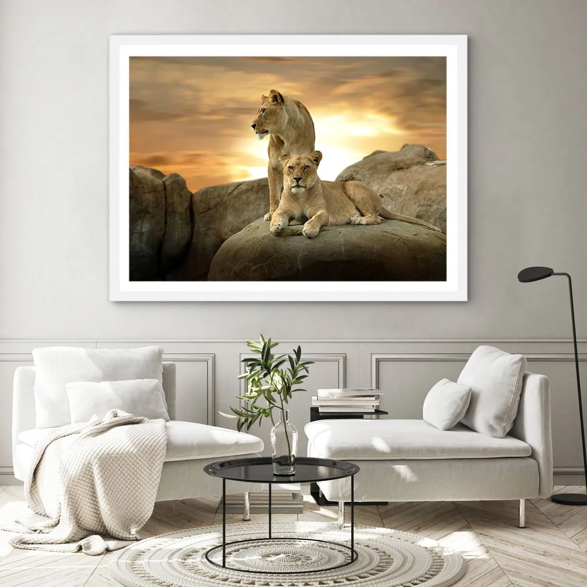Plagát v bielom ráme - Kráľovský majestát - 70x50 cm