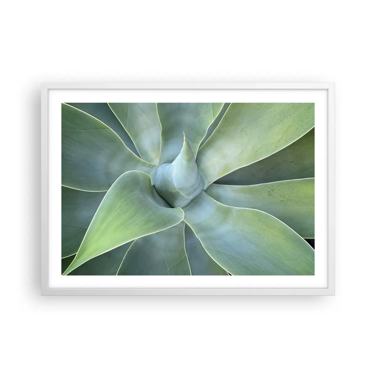 Plagát v bielom ráme - Zrodenie zelene - 70x50 cm