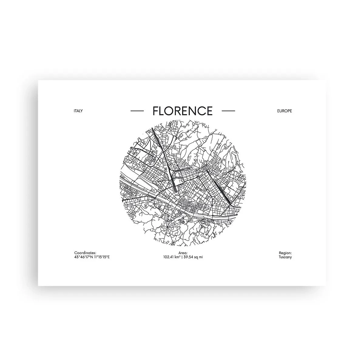 Plagát - Anatómia Florencie - 70x50 cm