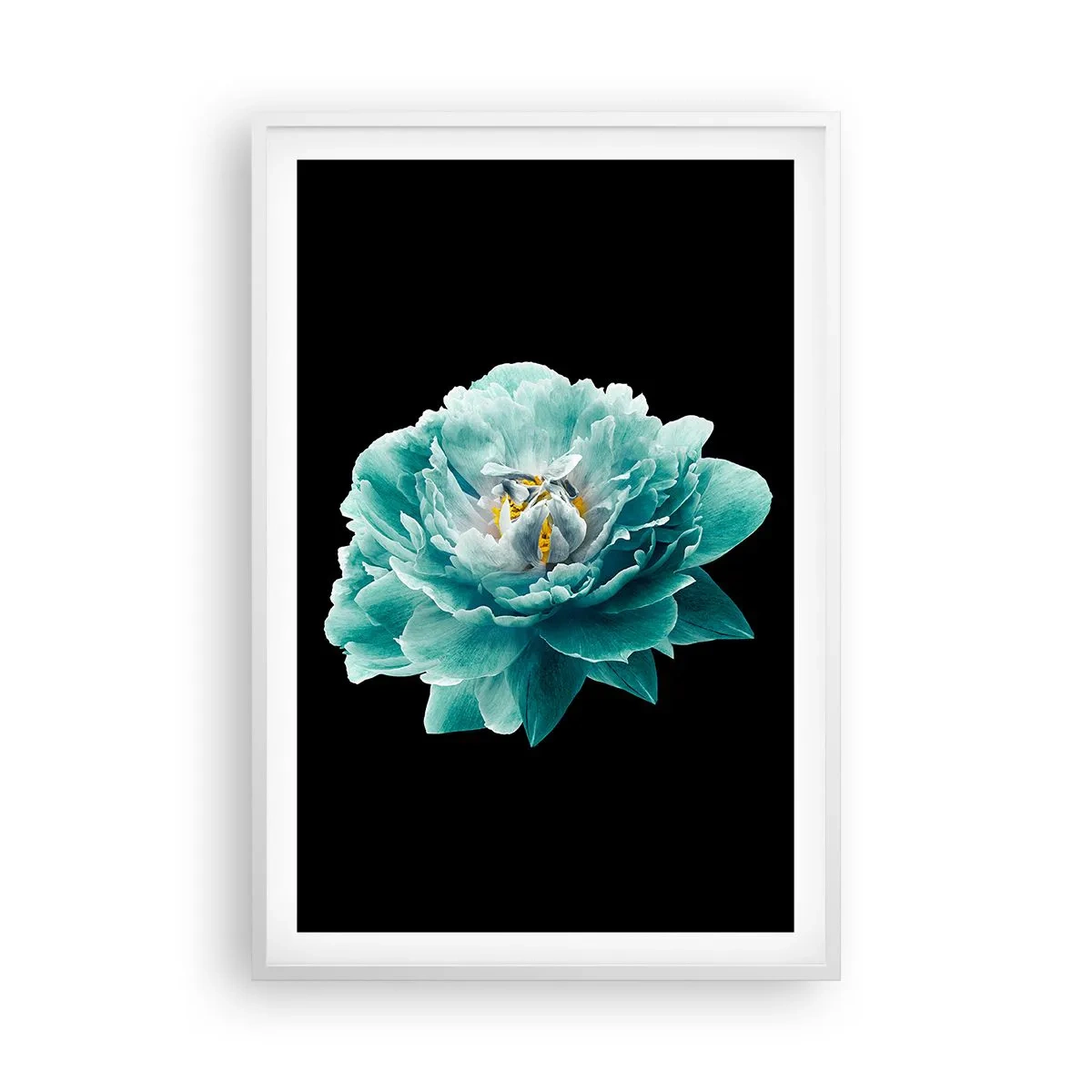 Plagát v bielom ráme - Modré a zlaté okvetné lístky - 61x91 cm