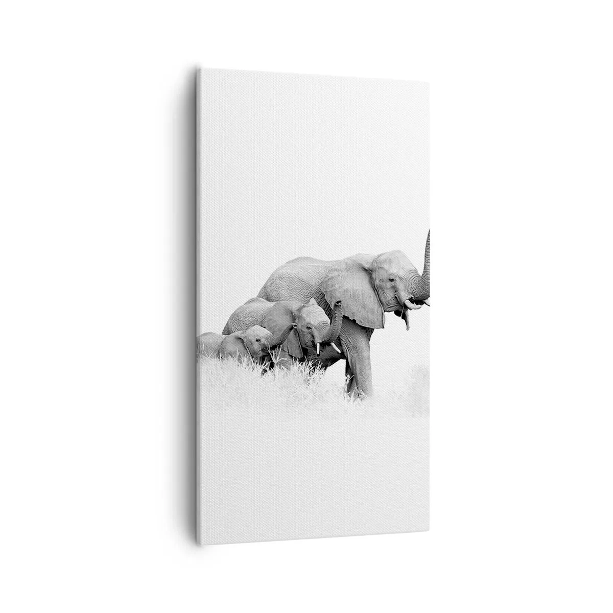 Obraz na plátne - Jedna, dve, tri - 55x100 cm