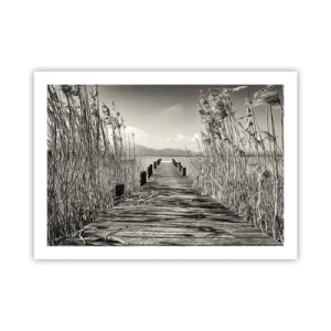 Plagát - V ústraní tráv - 70x50 cm