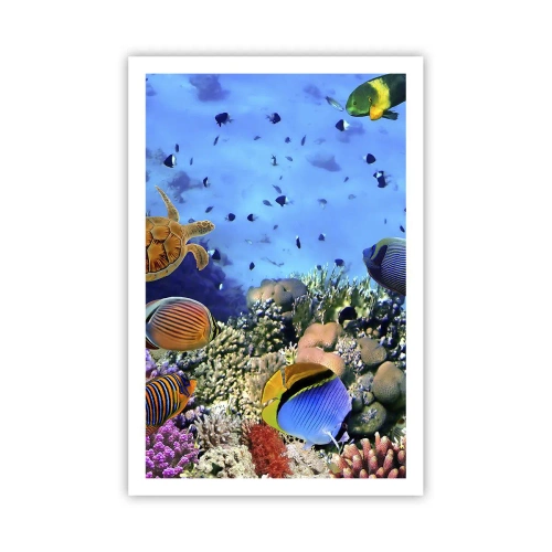 Plagát - Čo vieme o živote… - 61x91 cm