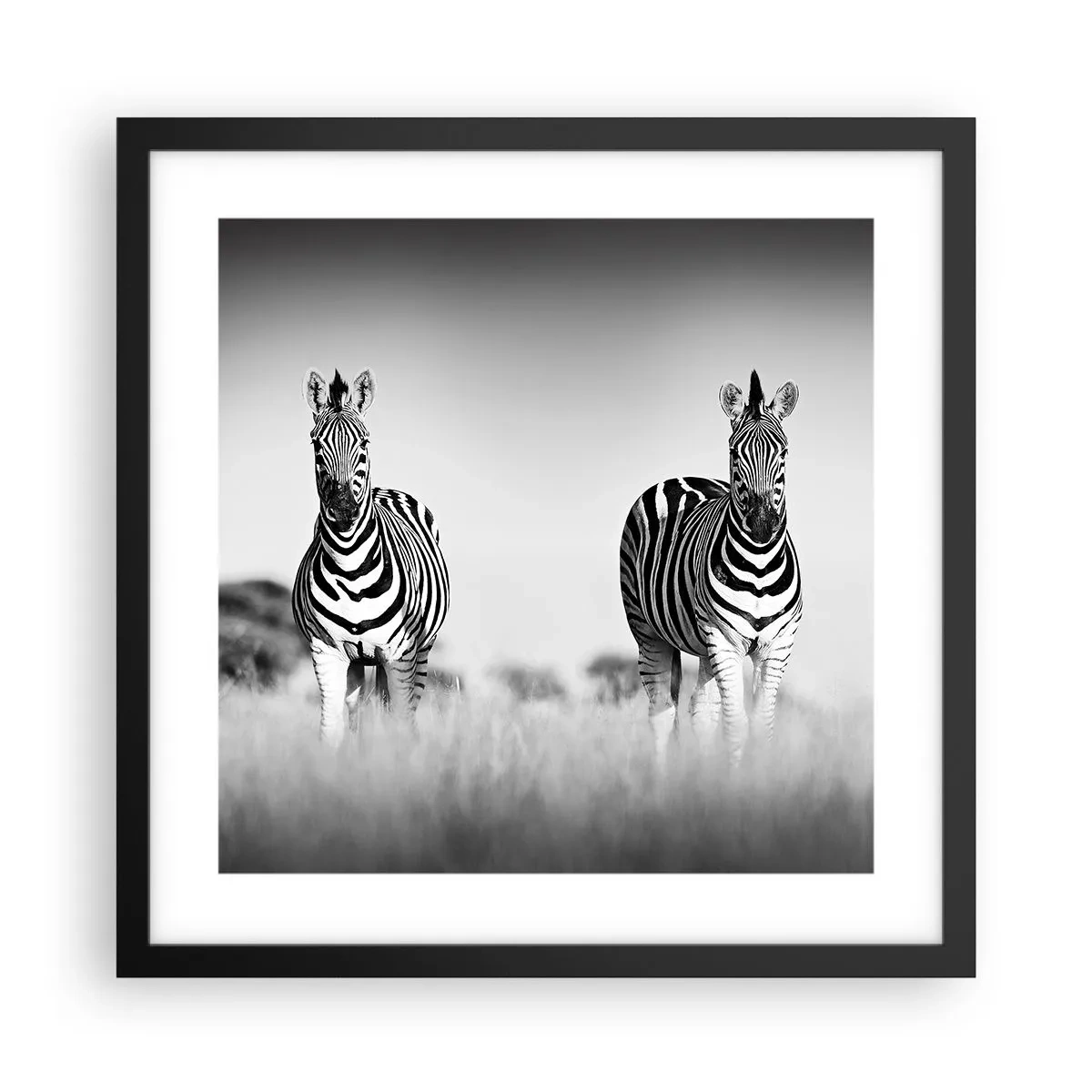 Plagát v čiernom ráme - A svet je aj tak čierno-biely - 40x40 cm