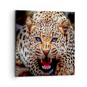 Obraz na plátne - Zlosť kráse neškodí - 70x70 cm