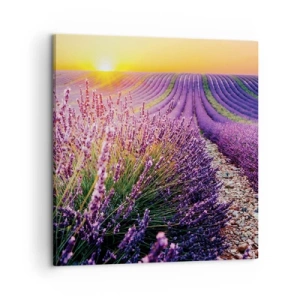 Obraz na plátne - Voňavý lán - 60x60 cm