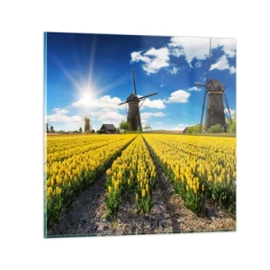 Obraz na skle - Viac holandský nemôže byť - 60x60 cm