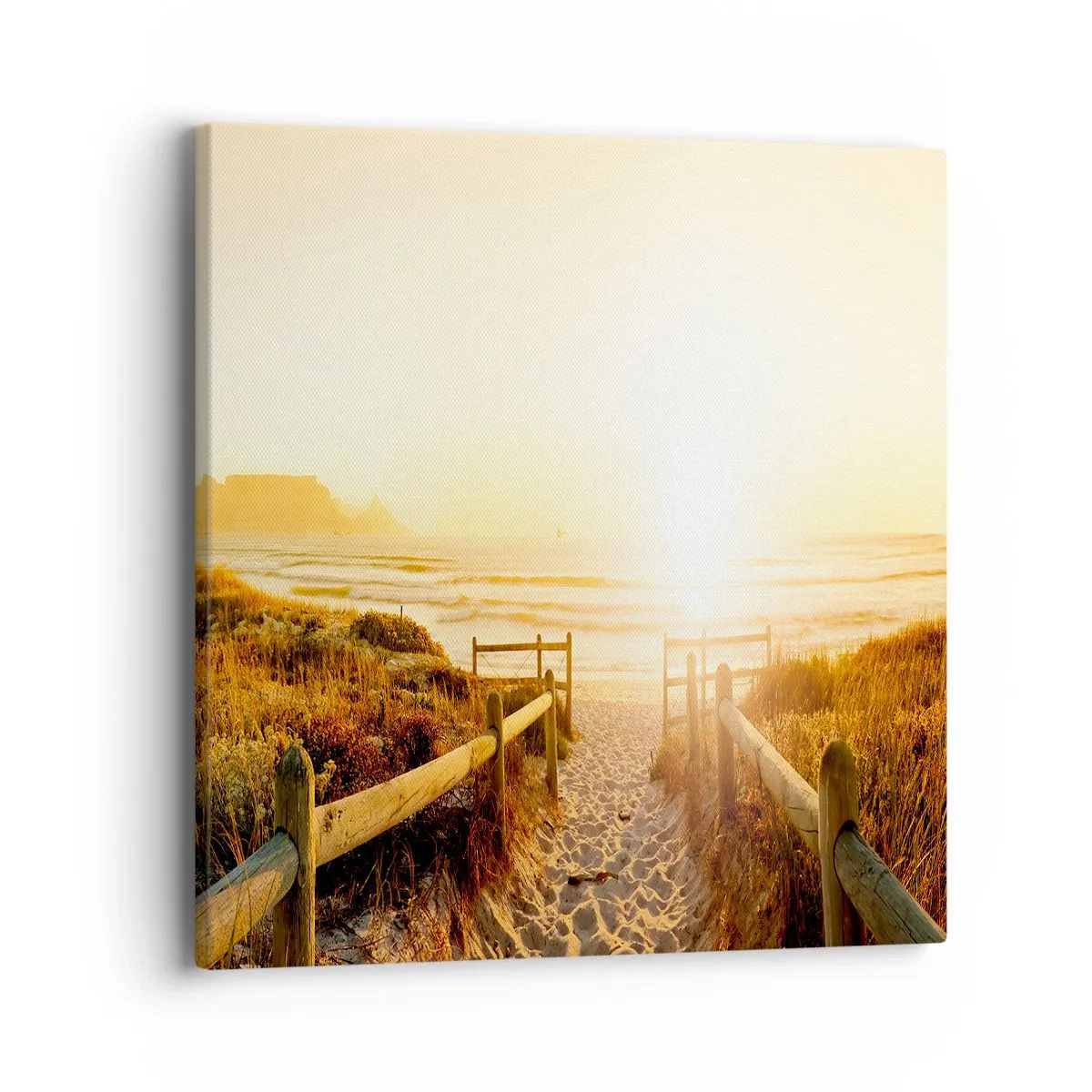 Obraz na plátne - Dunami smerom k slnku - 40x40 cm