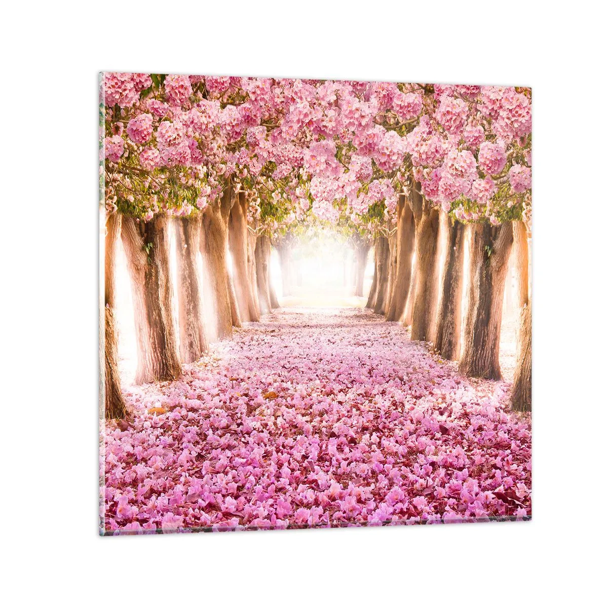 Obraz na skle - Cesta do raja - 70x70 cm