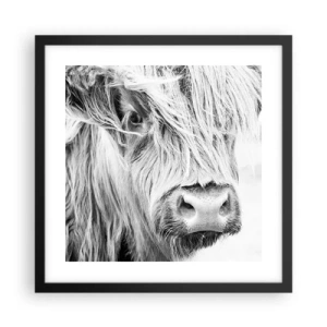 Plagát v čiernom ráme - Škótska divokosť - 40x40 cm