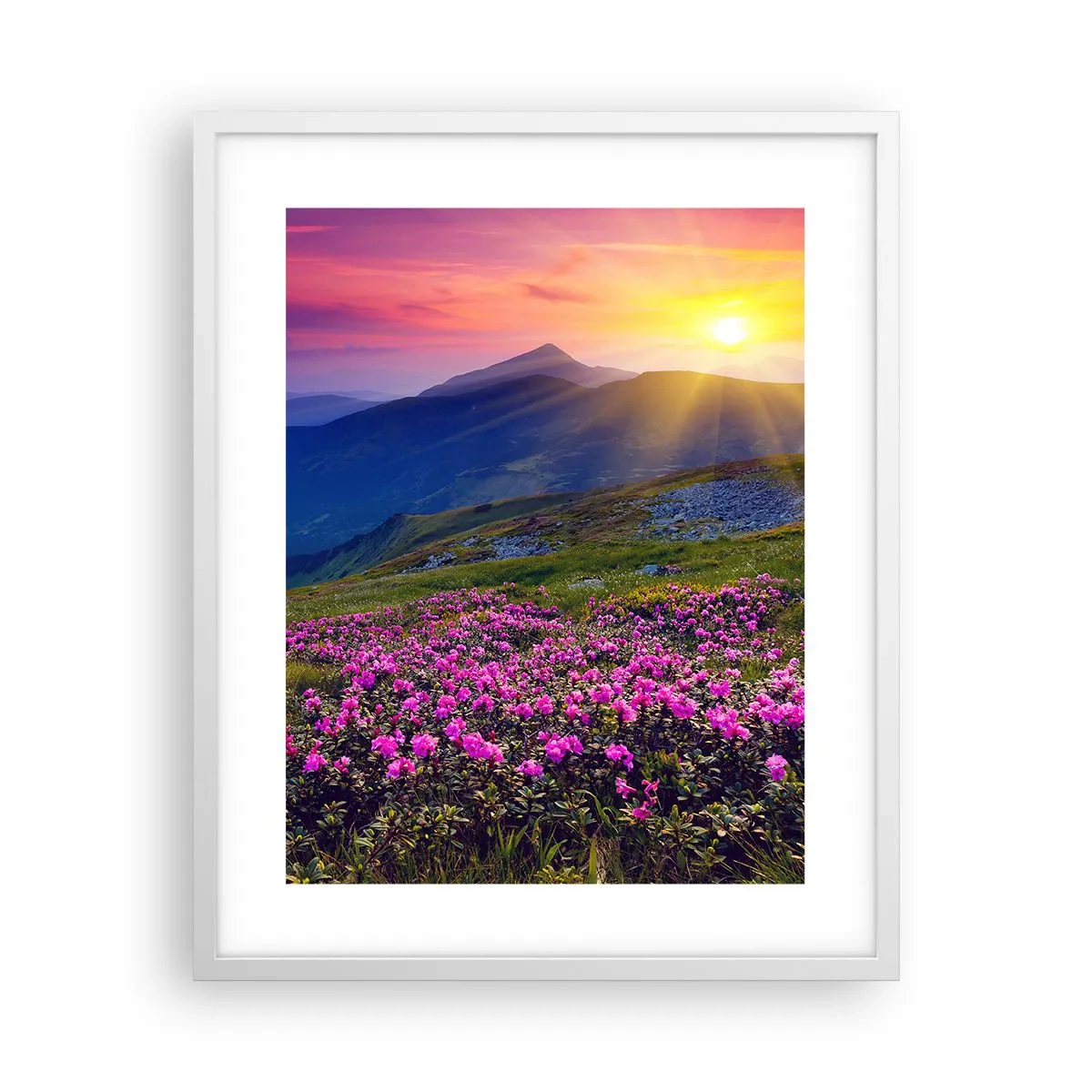 Plagát v bielom ráme - …A okolo vonia kosodrevina a voňajú byliny - 40x50 cm