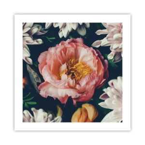 Plagát - S barokovým prepychom - 50x50 cm