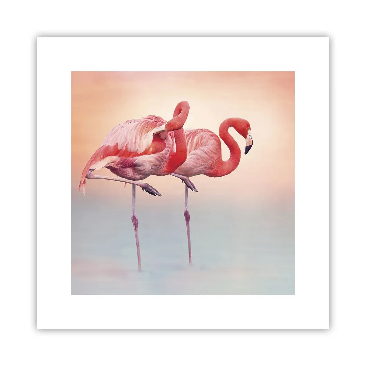 Plagát - Vo farbe zapadajúceho slnka - 30x30 cm