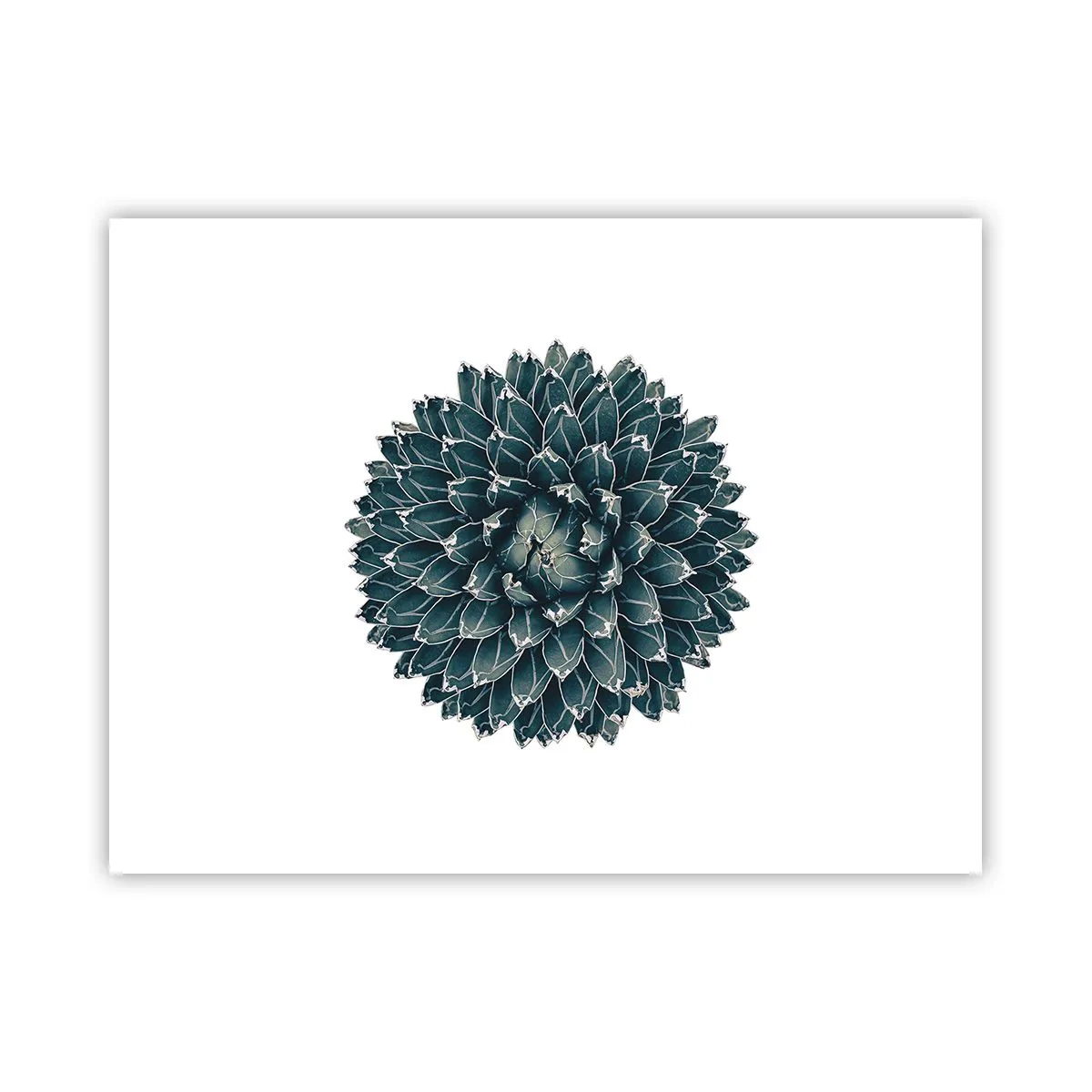 Plagát - Hviezda púšte - 40x30 cm