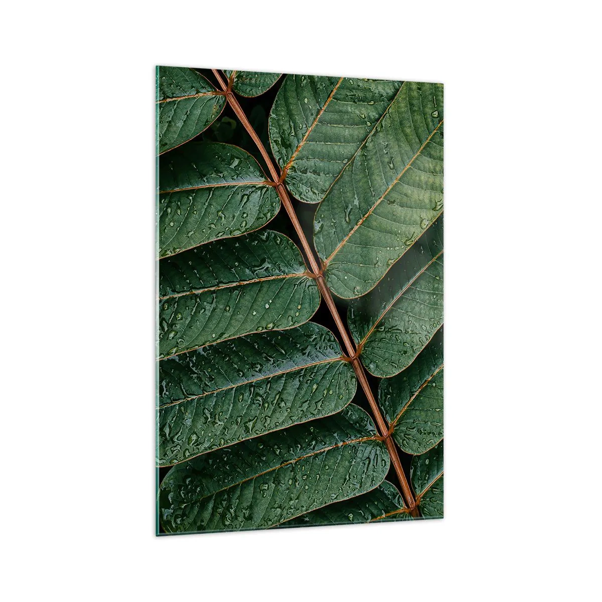 Obraz na skle - V zelenom rytme - 70x100 cm
