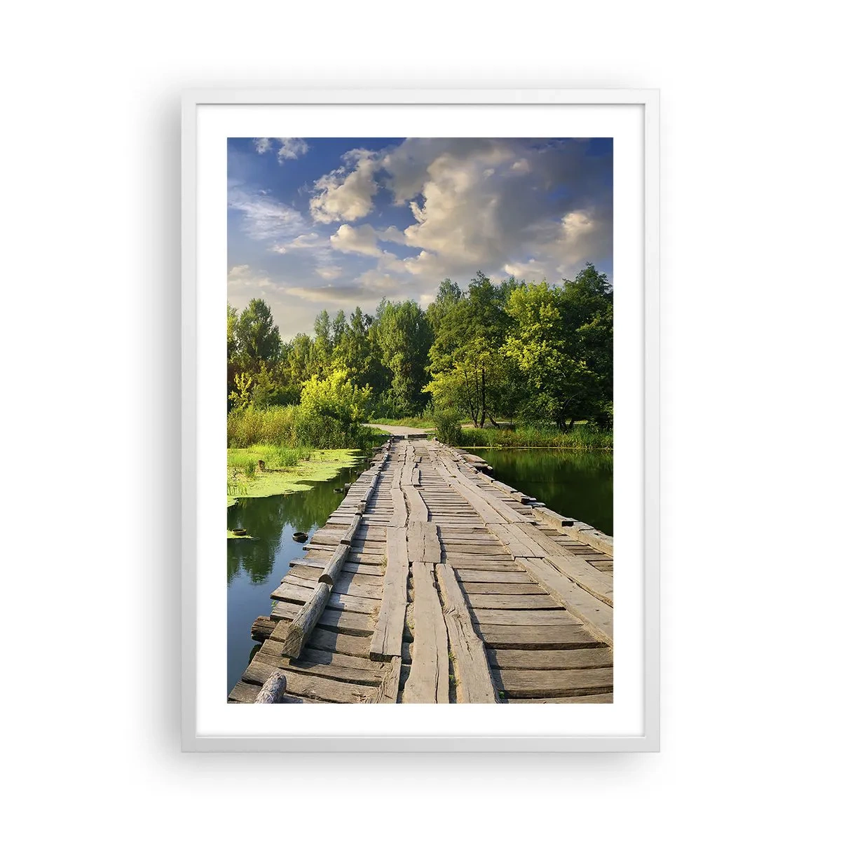 Plagát v bielom ráme - Leto, leto všade - 50x70 cm