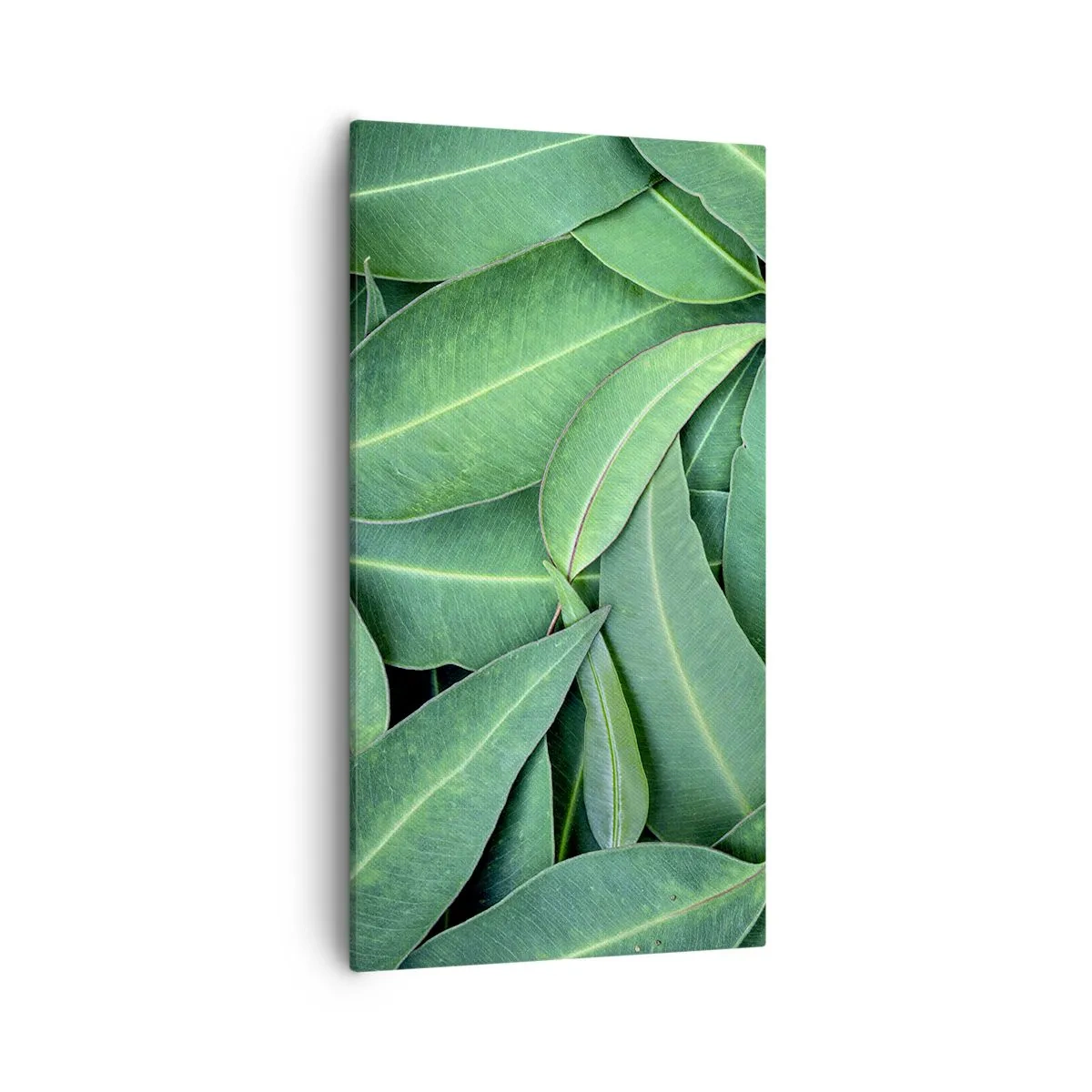 Obraz na plátne - Šťavnaté a svieže - 55x100 cm