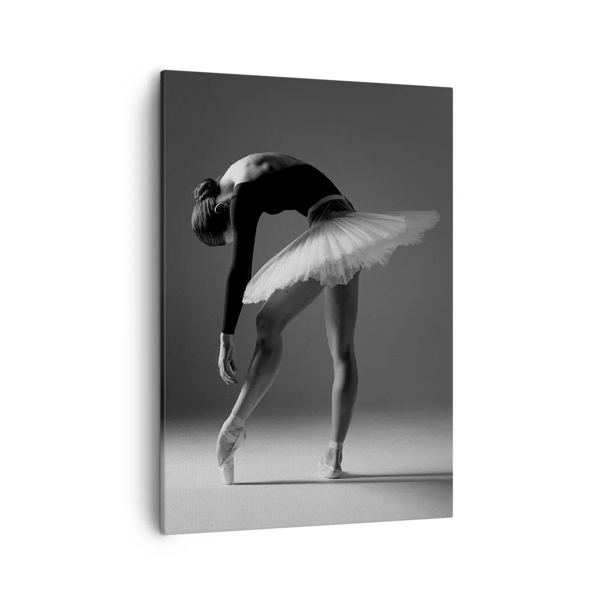 Obraz na plátne - Bella ballerina - 50x70 cm