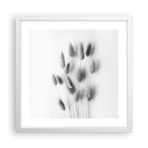 Plagát v bielom ráme - Našuchorená tráva - 40x40 cm