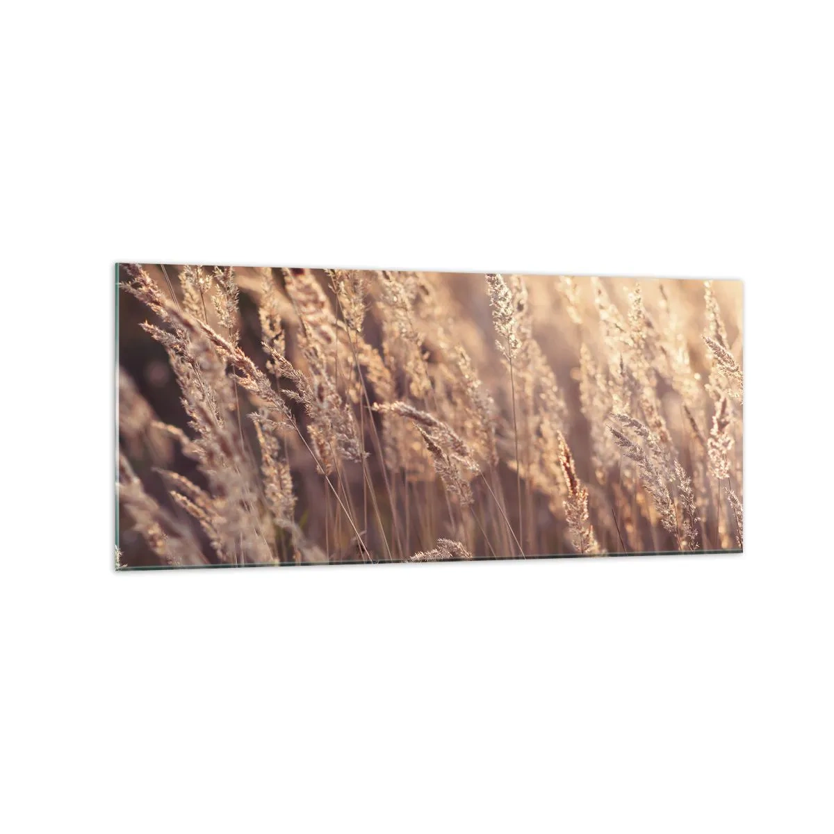 Obraz na skle - Pripravení privítať jeseň - 120x50 cm