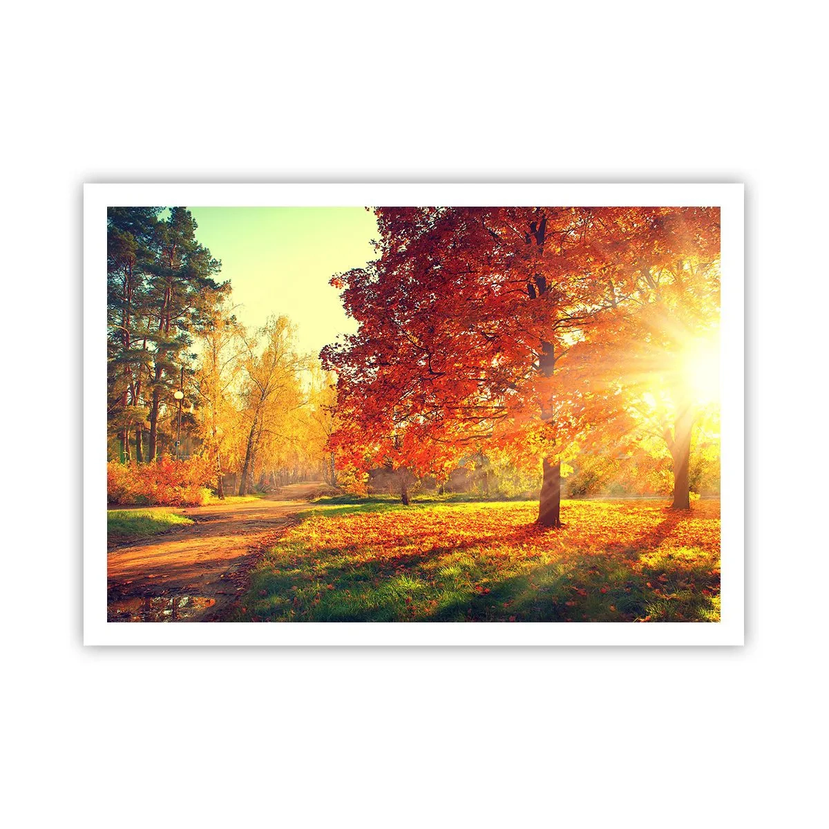 Plagát - Červené je krásne - 100x70 cm
