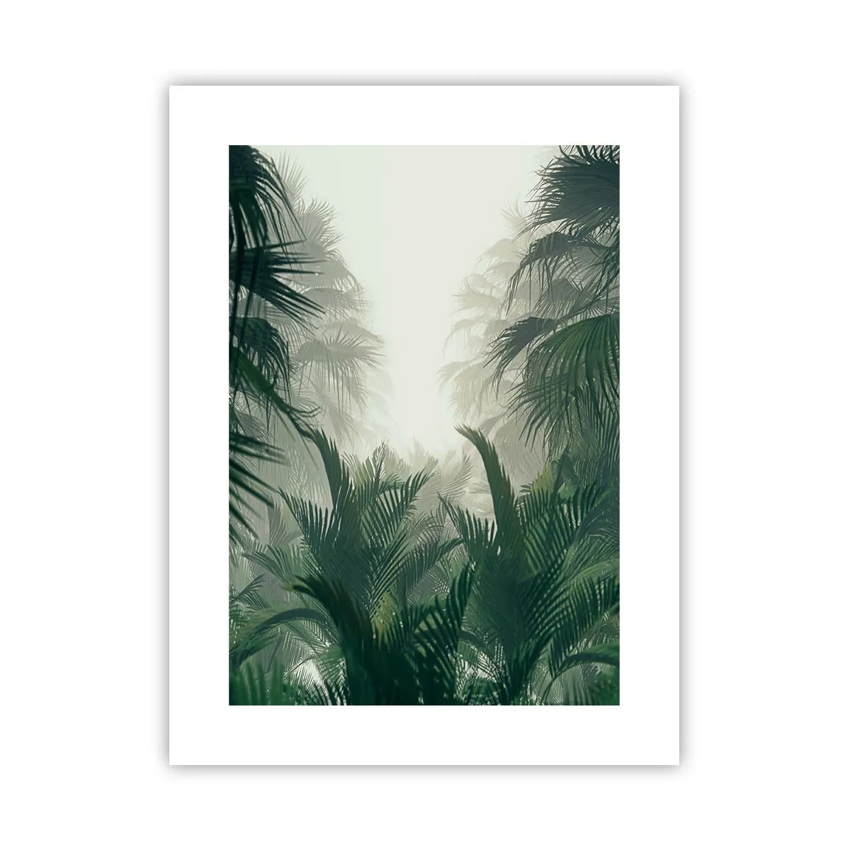 Plagát - Tropická záhada - 30x40 cm