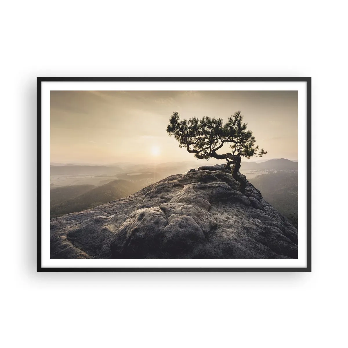 Plagát v čiernom ráme - Život vždy víťazí - 100x70 cm