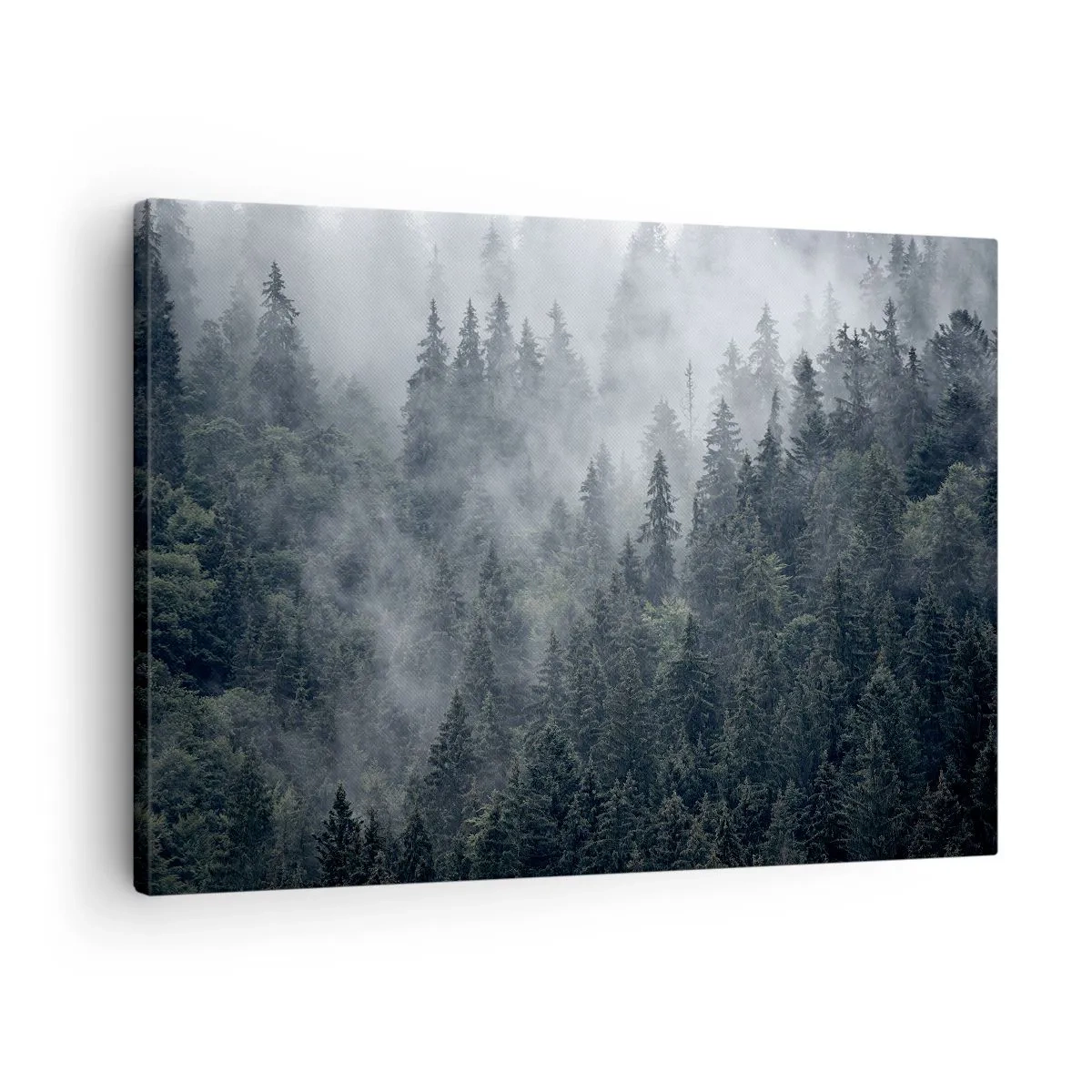 Obraz na plátne - Hmlistý ihličnatý les v odtieňoch sivej a zelenej - 70x50cm - Lesné svitania - Moderná nástenná dekorácia do obývacej izby a spálne ARTTOR