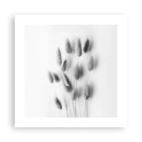 Plagát - Našuchorená tráva - 40x40 cm