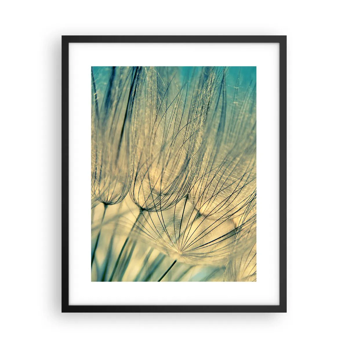 Plagát v čiernom ráme - Čakanie na vietor - 40x50 cm