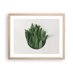 Plagát v ráme zo svetlého duba - Neukojiteľná zvedavosť - 50x40 cm