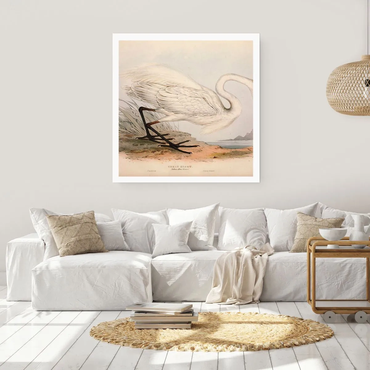 Plagát - Pani rákosín - 60x60 cm