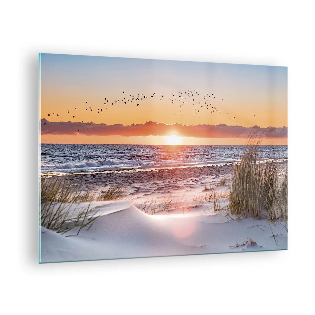 Obraz na skle - Západ slnka nad morom s vtákmi a piesočnými dunami - 70x50cm - Horizontálna krajina - Moderná nástenná dekorácia do obývacej izby a spálne ARTTOR