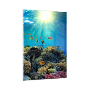 Obraz na skle - Podvodné poklady - 70x100 cm