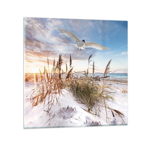 Obraz na skle - Vietor od mora - 70x70 cm