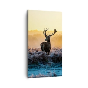 Obraz na plátne - Korunovaný na svojom panstve - 45x80 cm