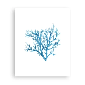 Plagát - Morský filigrán - 40x50 cm