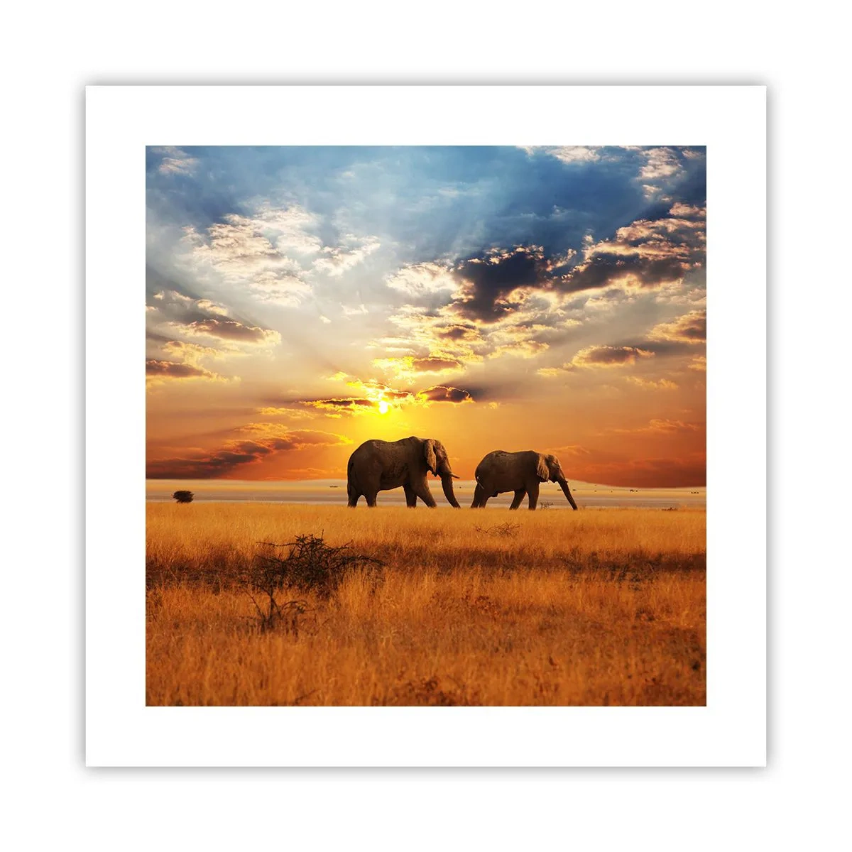 Plagát - Rodinná prechádzka - 40x40 cm