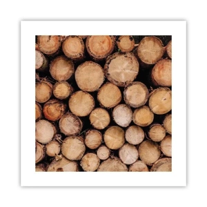 Plagát - Nový začiatok - 40x40 cm