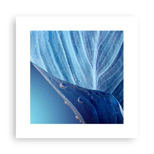 Plagát - Skryté kvapky modrej - 30x30 cm