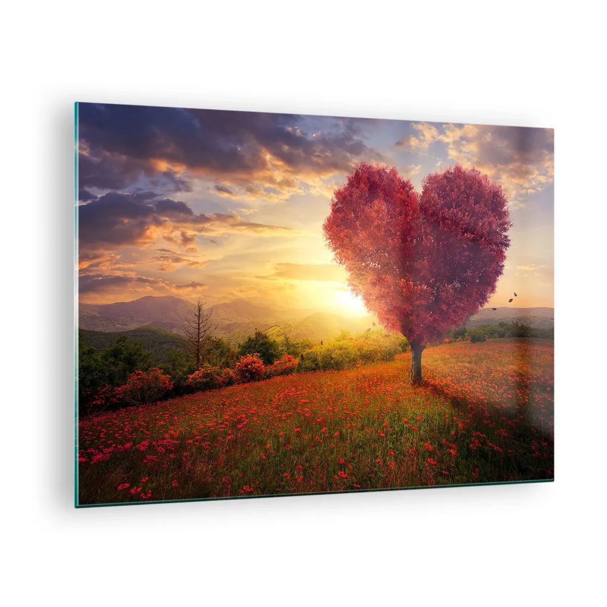 Obraz na skle - Strom v tvare srdca na poli pri západe slnka - 70x50cm - Je to dojemné - Moderná nástenná dekorácia do obývacej izby a spálne ARTTOR